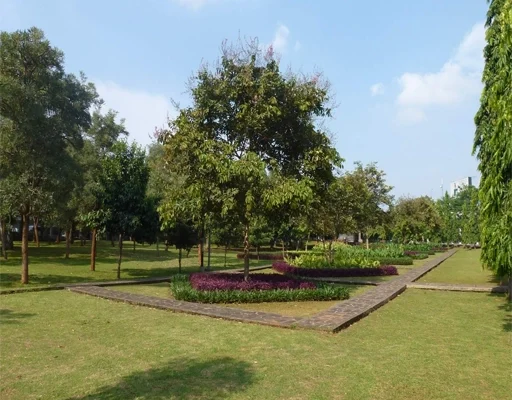 Taman Cattelaya Ruang Hijau Rimbun Ditenga Jakarta Barat