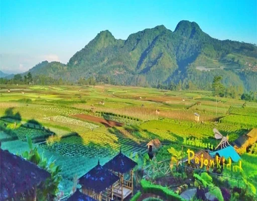 Wisata Desa Menjadi Fokus Pariwisata Indonesia