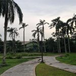 Rute Dan Pilihan Transportasi ke Taman Salak Kuning